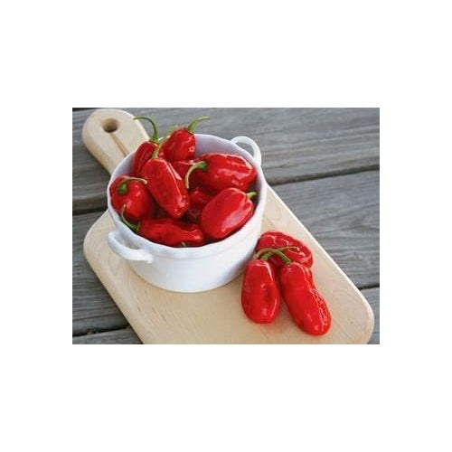 Zavory Pepper Seeds for Planting [neera-v5-a97807b39bc698753ac9]