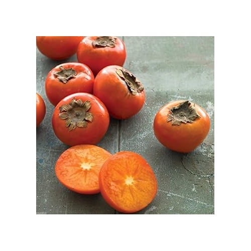 Blue Sausage Fruit Seeds for Planting | Heirloom Non-GMO Organic Seeds for Unique, Exotic Garden Fruits [neera-v5-aa7921575e09e1d01251]