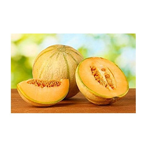 Sweet Melon Fruit Seeds for Planting [neera-v5-aa8140d6af55ad65eb6c]