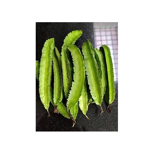 Winged Bean Seeds for Planting [neera-v5-aad4a47938e44f3360b4]