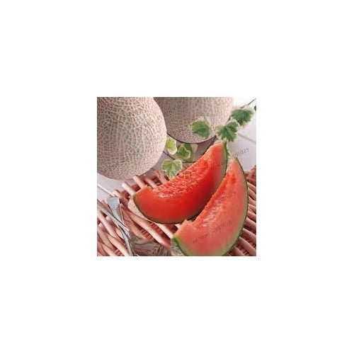 Fresh Pink Cantaloupe Melon Fruit Seeds for Planting [neera-v5-ab08fe70715b989bf205]