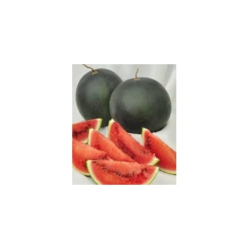 Densuke Watermelon Fruit Seeds for Planting [neera-v5-ab0a633aeb99fa76005b]