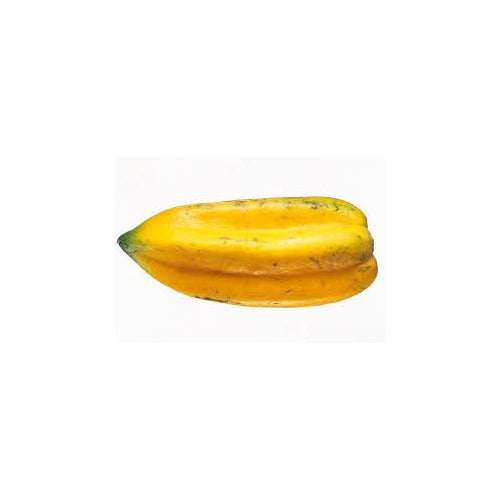 Babaco Papaya (Vasconcellea × heilbornii) Fruit Tree Seeds for Planting [neera-v5-abe1047075fced72541d]