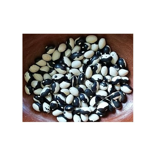 Orca Bean Plant Seeds for Planting [neera-v5-acea373036510b993f27]