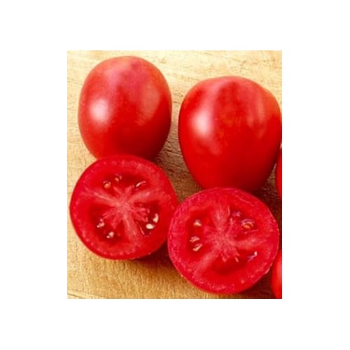 Heirloom Red Tomato Seeds for Planting [neera-v5-ad533f2b84988811c930]