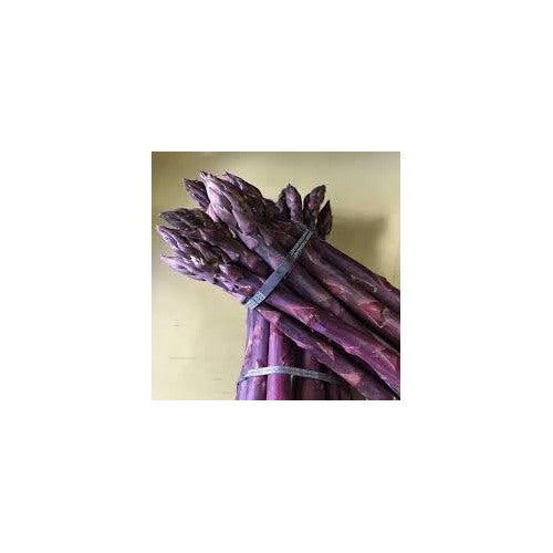 Asparagus Vegetable Seeds for Planting [neera-v5-ad6c9d5ce2bea5a1d931]