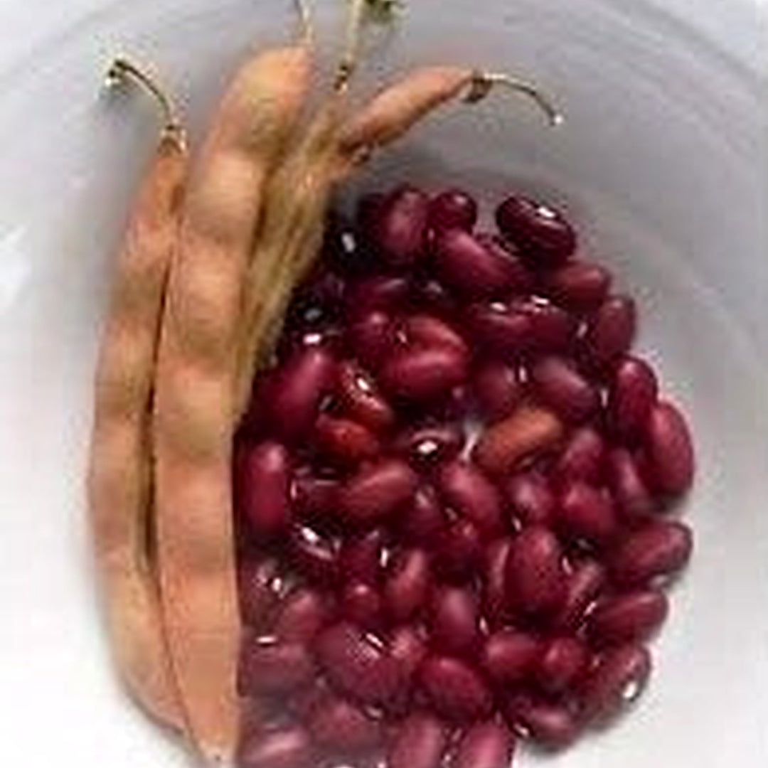 Red Pole Kidney Bean Seeds for Planting [neera-v5-ae24873bfe2182f32819]