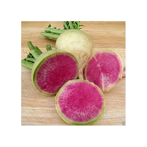 Pink Radish Seeds [neera-v5-af5d08ca696095092463]