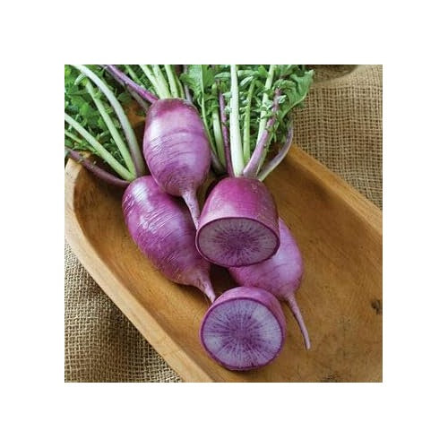 Rainbow Radish Seeds for Planting Violet [neera-v5-af829dd0d274f345081a]