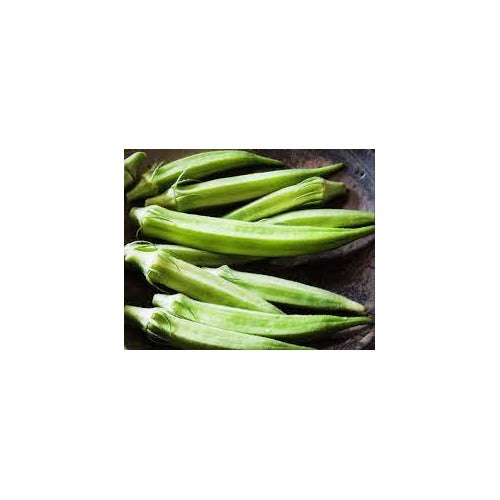 Blondy Okra Seeds for Planting [neera-v5-afcae2561eb22264bebc]