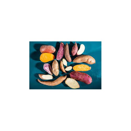 Mixed Sweet Potato Seeds for Planting [neera-v5-afcbb697079484709213]