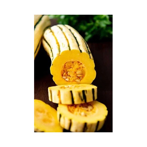 Delicata Squash Planting Cucurbita Pepo Organic Non Gmo Never Sprayed Or Treated Heirloom [neera-v5-b01c584e7d8ac2459e90]