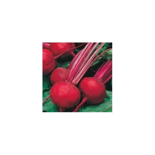 Beetroot Seeds [neera-v5-b04b43947348f5a0574d]