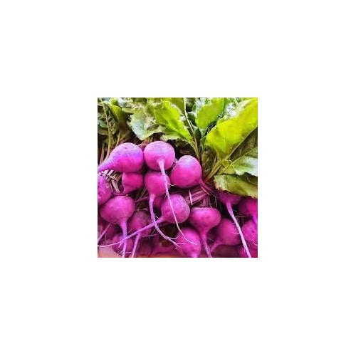 Purple Rainbow Radish Seeds for Planting [neera-v5-b097072e068e9a519784]
