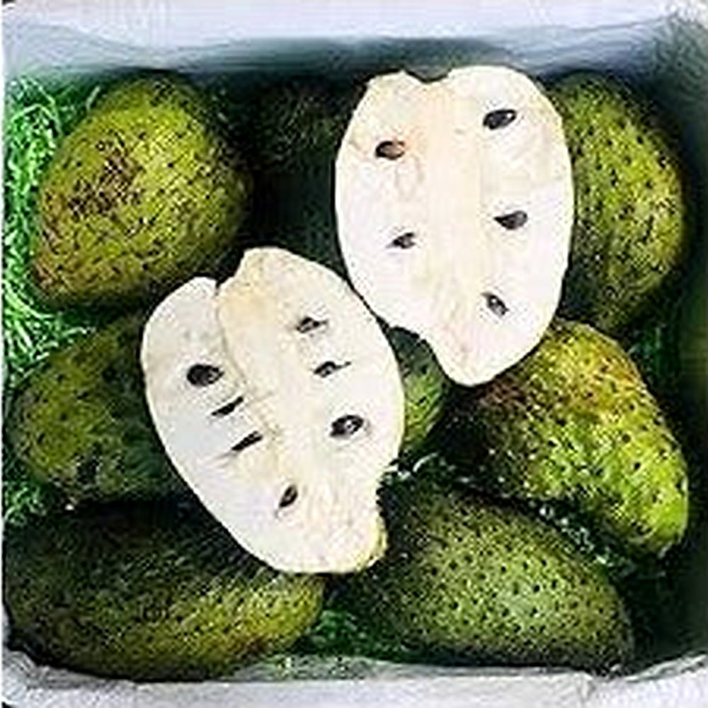 White Pulp Soursop Fruit Seeds for Planting [neera-v5-b0fbbbdfe83dcf2b351e]