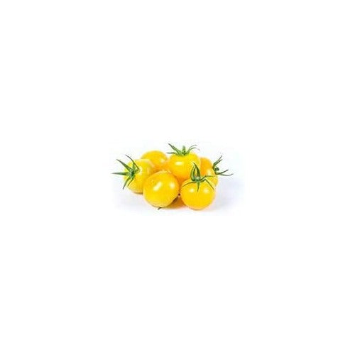 Heirloom Non-GMO Yellow Tomato Seeds for Planting [neera-v5-b12ca29fe480a9c63003]