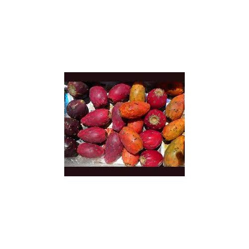 Cactus Pear Seeds for Planting [neera-v5-b2445d4587f7919eb9ed]