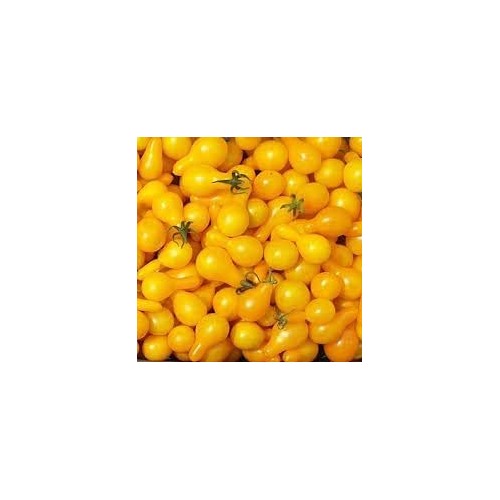 Tomato Vegetable Seeds for Planting [neera-v5-b2a7e9750c61778aa6f7]
