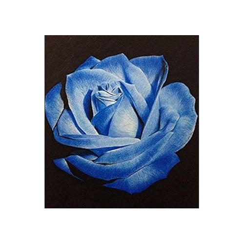 Light Blue Osiria Rose Plant Seeds for Planting [neera-v5-b30921e91aa1784ed784]