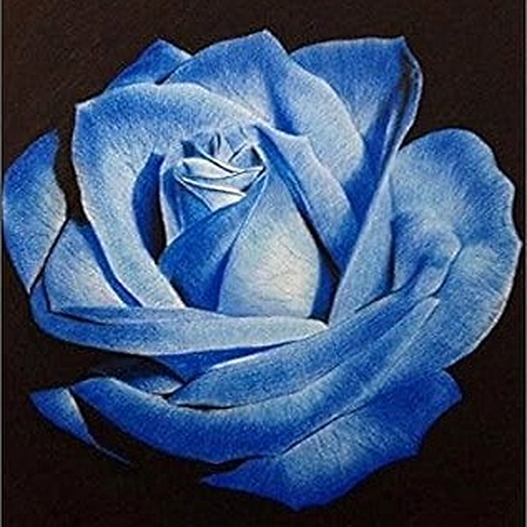 Light Blue Osiria Rose Plant Seeds for Planting [neera-v5-b30921e91aa1784ed784]
