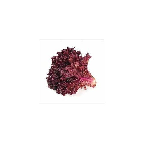 Red Lettuce Salad Bowl Seeds for Planting [neera-v5-b3137a652bda121035e3]