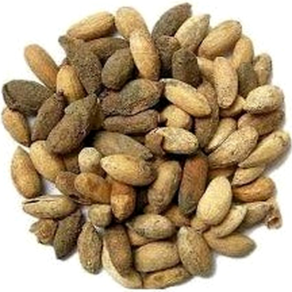 Neem Tree Seeds for Planting [neera-v5-b3ce3e7c9fc6d2096e9c]
