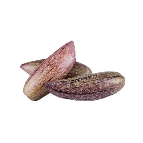 Rare Giant Purple Pepino Fruit Seeds (Solanum muricatum) [neera-v5-b4698b9e0ae4e2d17b26]