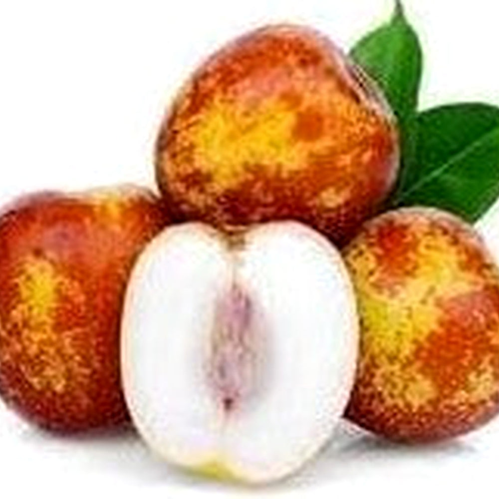 Shanlix Jujube Fruit Seeds for Planting [neera-v5-b4dbb08d0af9843dcae0]