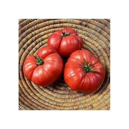Heirloom Non-GMO Tomato Vegetable Seeds for Planting [neera-v5-b525ecf9b9c7a2975f07]
