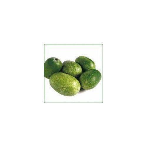 Melon Seeds for Planting [neera-v5-b53cc84e38c73375b71b]
