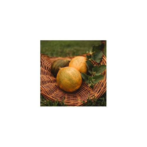 Collective Farm Woman Melon Seeds for Planting | Heirloom &amp; Non-GMO Organic Garden Seeds [neera-v5-b766b8495013d2df4ff5]