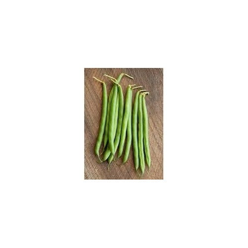 Bean Seeds for Gardening [neera-v5-b78d945a605b30098332]