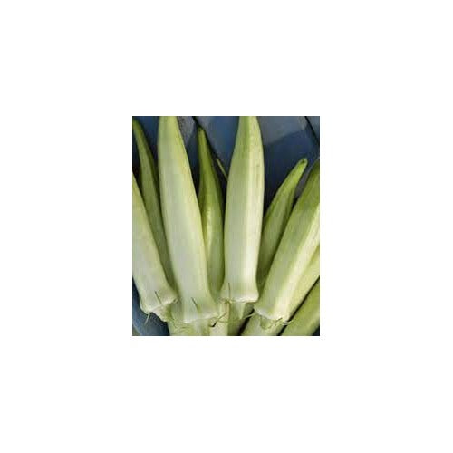 White Okra Vegetable Seeds for Planting [neera-v5-b7b610cb91076de935f0]