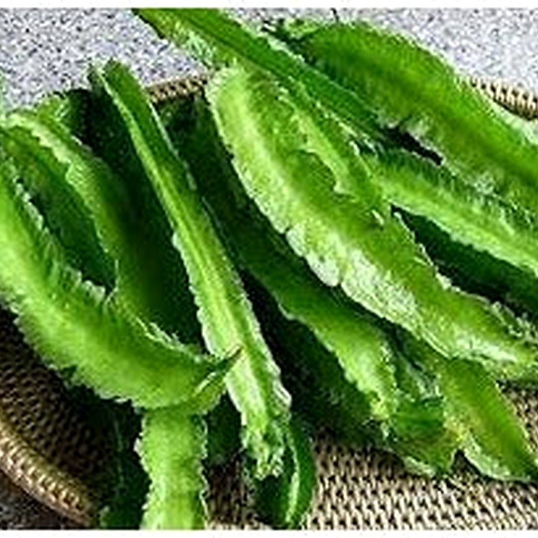 Green Winged Bean Seeds for Planting [neera-v5-b80b86934907c575b6d9]
