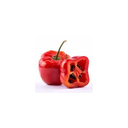 Rocoto Pepper Red Manzano Seeds for Planting [neera-v5-b8a7f1944f612b62bb16]