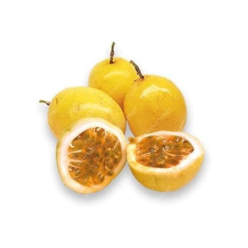 Dwarf Cylindrical Papaya “Kaek Dahm” Fruit Seeds [neera-v5-b8acc72d1470f4fb1d70]