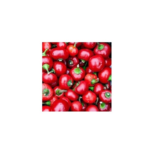 Cherry Pepper Seeds for Planting [neera-v5-b95ac725ca92ef629b2e]
