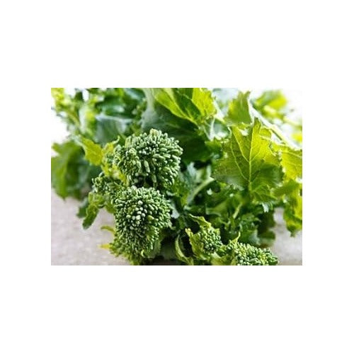 Broccoli Raab Seeds for Planting [neera-v5-b990c9d5a126d0fdb865]