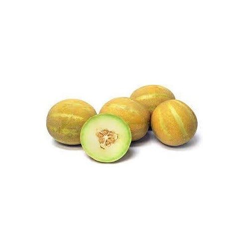 Melon Seeds [neera-v5-b9d9594556a19d5c84e5]