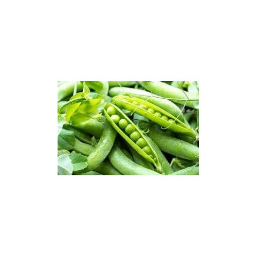 Pea Seeds for Planting [neera-v5-ba5bbc8903a8b83e041f]