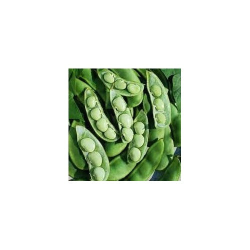 Lima Bean Seeds for Planting | Heirloom, Non-GMO, High Germination Organic Garden Seeds [neera-v5-ba9c07170ba47e655245]