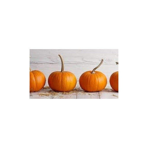 Pumpkin Seeds [neera-v5-bb129fa82b4e5e0de2f4]