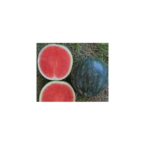 Miniature Passion Fruit Seeds [neera-v5-bb5ffc34462242966504]