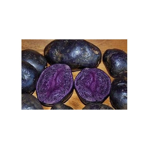 Purple Batatas Potato Vegetable Seeds for Planting [neera-v5-bb7e55e6de888898a9d3]