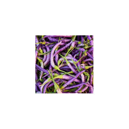 Heirloom Non-GMO Buena Mulata Hot Pepper Seeds for Garden Planting [neera-v5-bc19c40a0ba5544cb3e3]