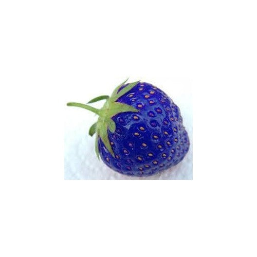 Blue Strawberry Fruit Seeds for Planting [neera-v5-bd0ac6f7c7f072f43d1f]