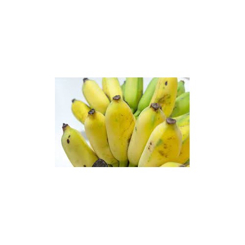 Pisang Awak Dwarf Banana Fruit Seeds for Planting [neera-v5-bd1c15496ba1712c8ab2]