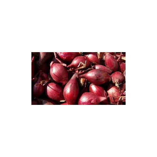 Onion Shallots (Scallions) Vegetable Seeds for Planting [neera-v5-bd9b376382210c284749]