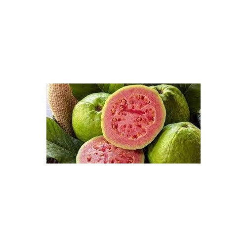 Guava Fruit Seeds for Planting | Heirloom Non-GMO Organic Seeds for Tropical Sweet Garden Fruits [neera-v5-bdaf850e9400bfcd091a]