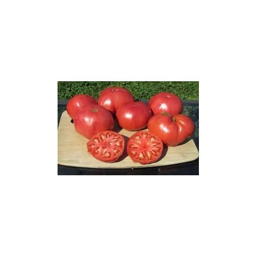 Tomato Vegetable Seeds for Planting [neera-v5-be6e6b82bc80c3176e0e]
